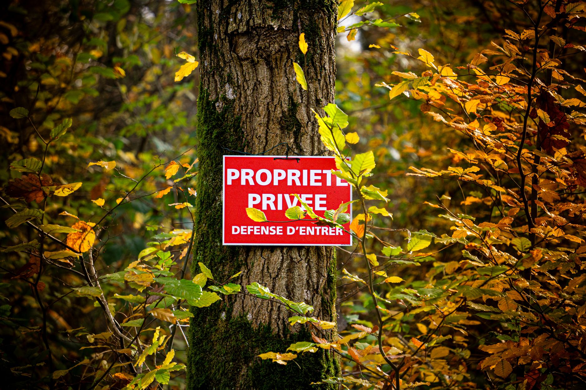 Détective privé à Vénissieux